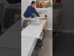 ステンレス・スティール インターセプター 産業用金属検出器 輸送ベルト 220 ウォルテージ