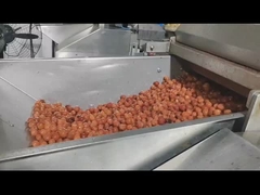 食品産業用X線機械 拒絶システム チェリーフルーツ製品