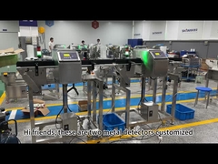 食品グレードのコンベヤー金属探知装置 音と光アラーム