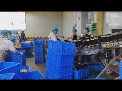 デジタルシグナル処理とOEMとステンレス304食品金属検出器の完全な構造