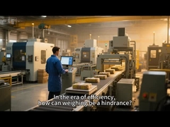 自動チェック・ウェージャー 精密な体重測定を達成し,生産量を向上させる