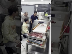 食品等級の金属探知器