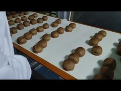 食品加工用0.01g分解能金属探知機が製品を金属汚染から保護します