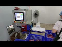 品質管理用工業用食品X線検査機
